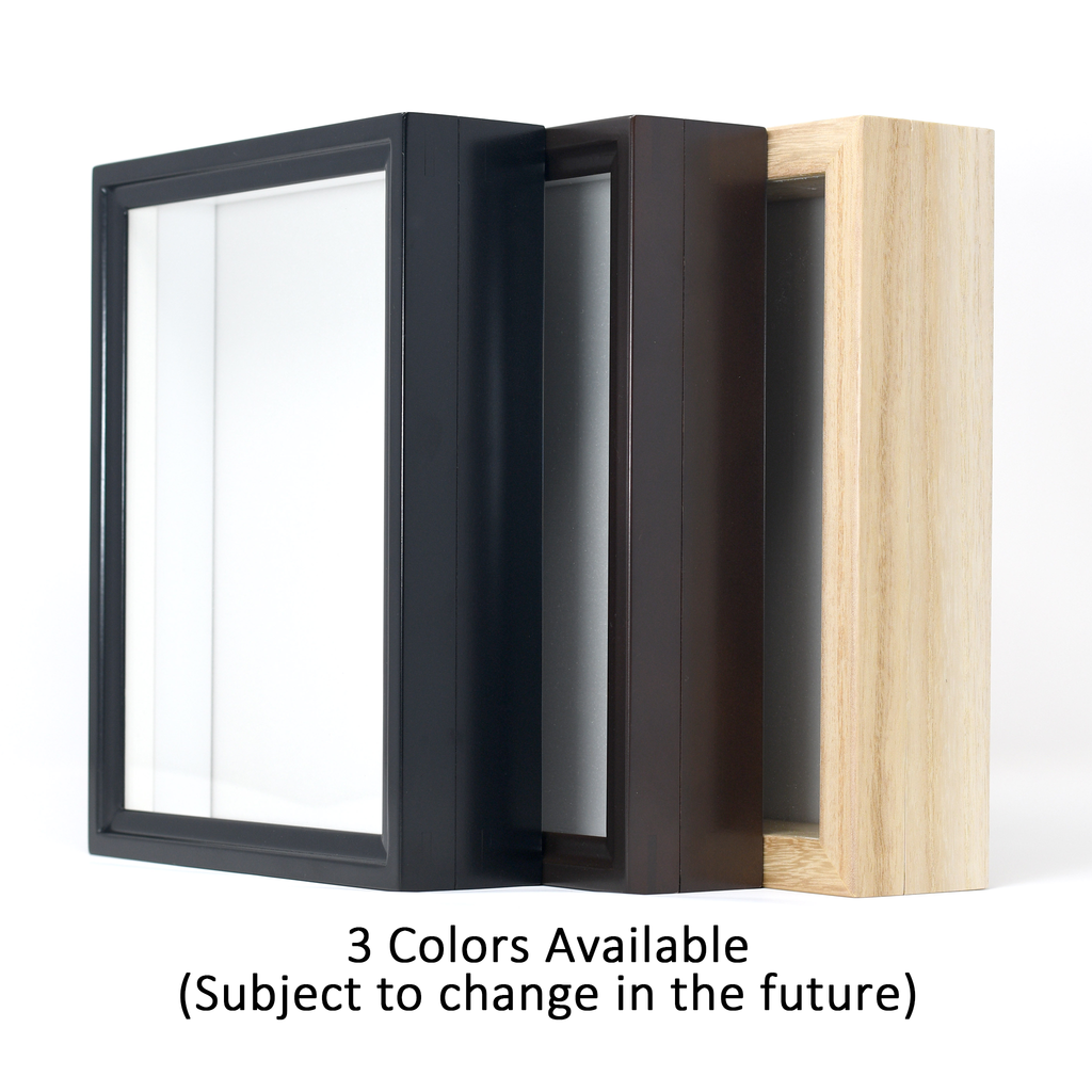 Birdwing Mini Insect Display Box – Handcrafted in Japan, with UV Glass & High-Density Foam (9 ¾" x 7 ⅞" x 2 ¼")
