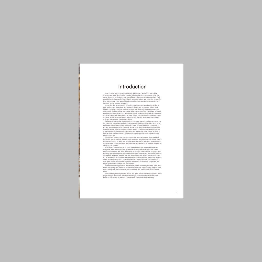 Butterflies of the World: Papilionoidea—A Portrait of Global Butterfly Diversity. Complete Edition