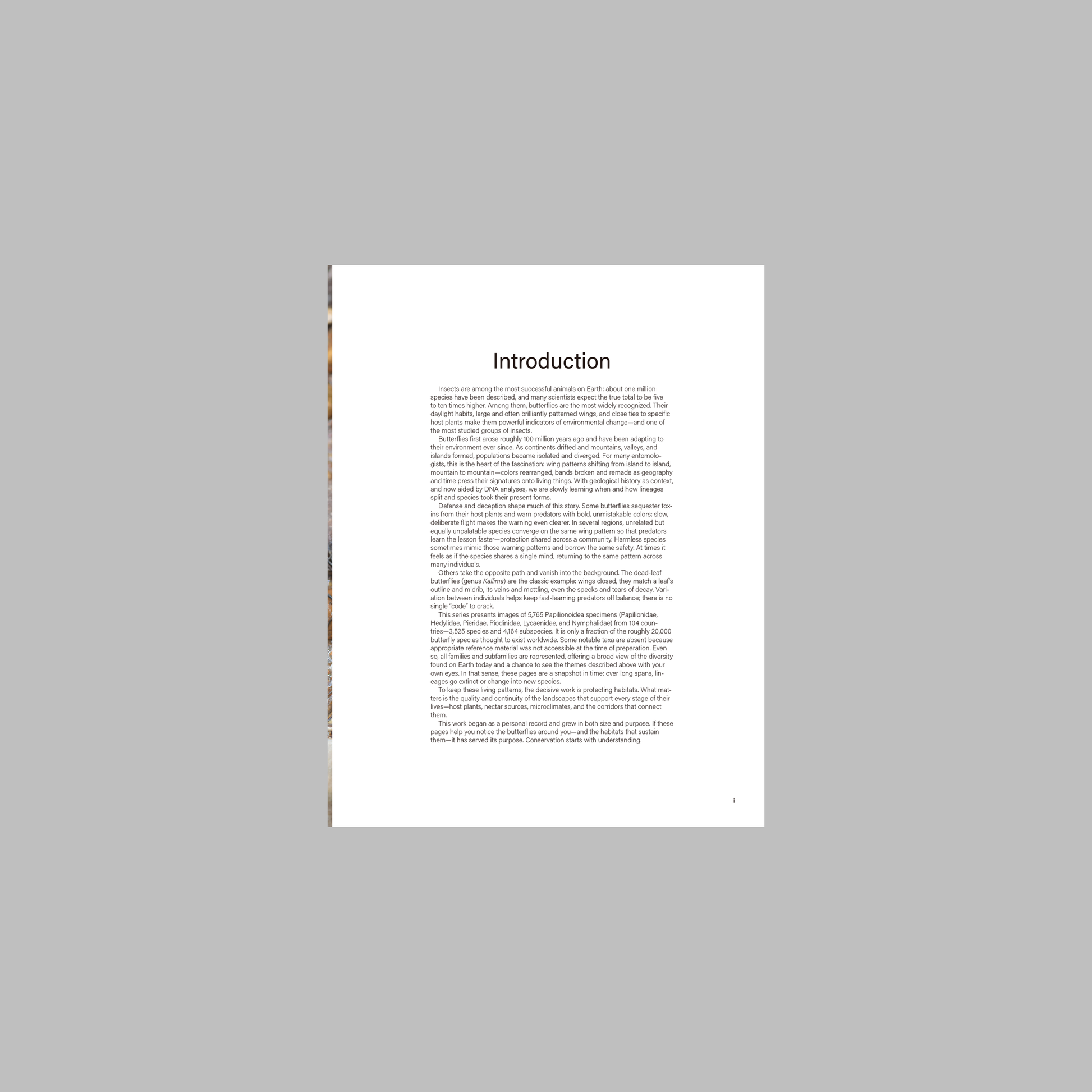 Butterflies of the World: Papilionoidea—A Portrait of Global Butterfly Diversity. Complete Edition