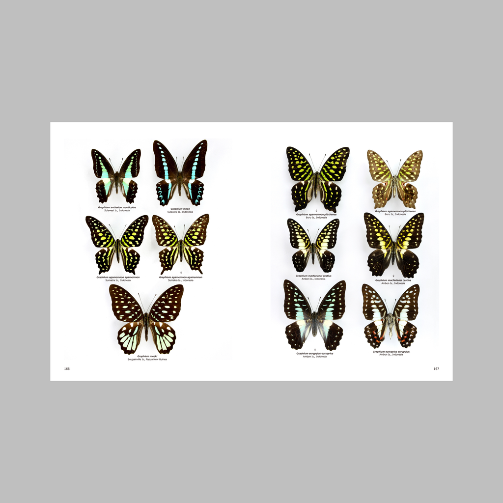 Butterflies of the World: Papilionoidea—A Portrait of Global Butterfly Diversity. Complete Edition