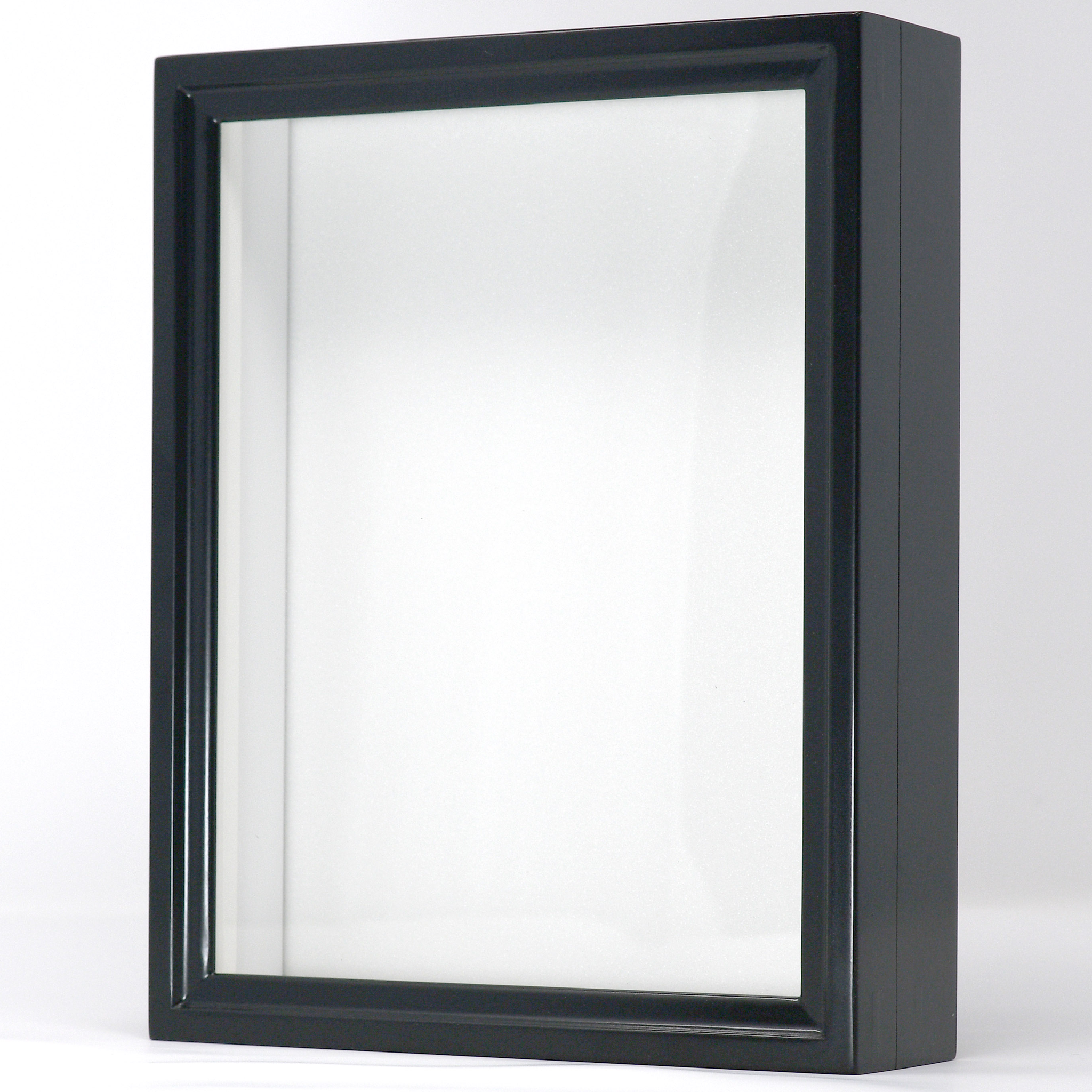 Birdwing Mini Insect Display Box – Handcrafted in Japan, with UV Glass ...