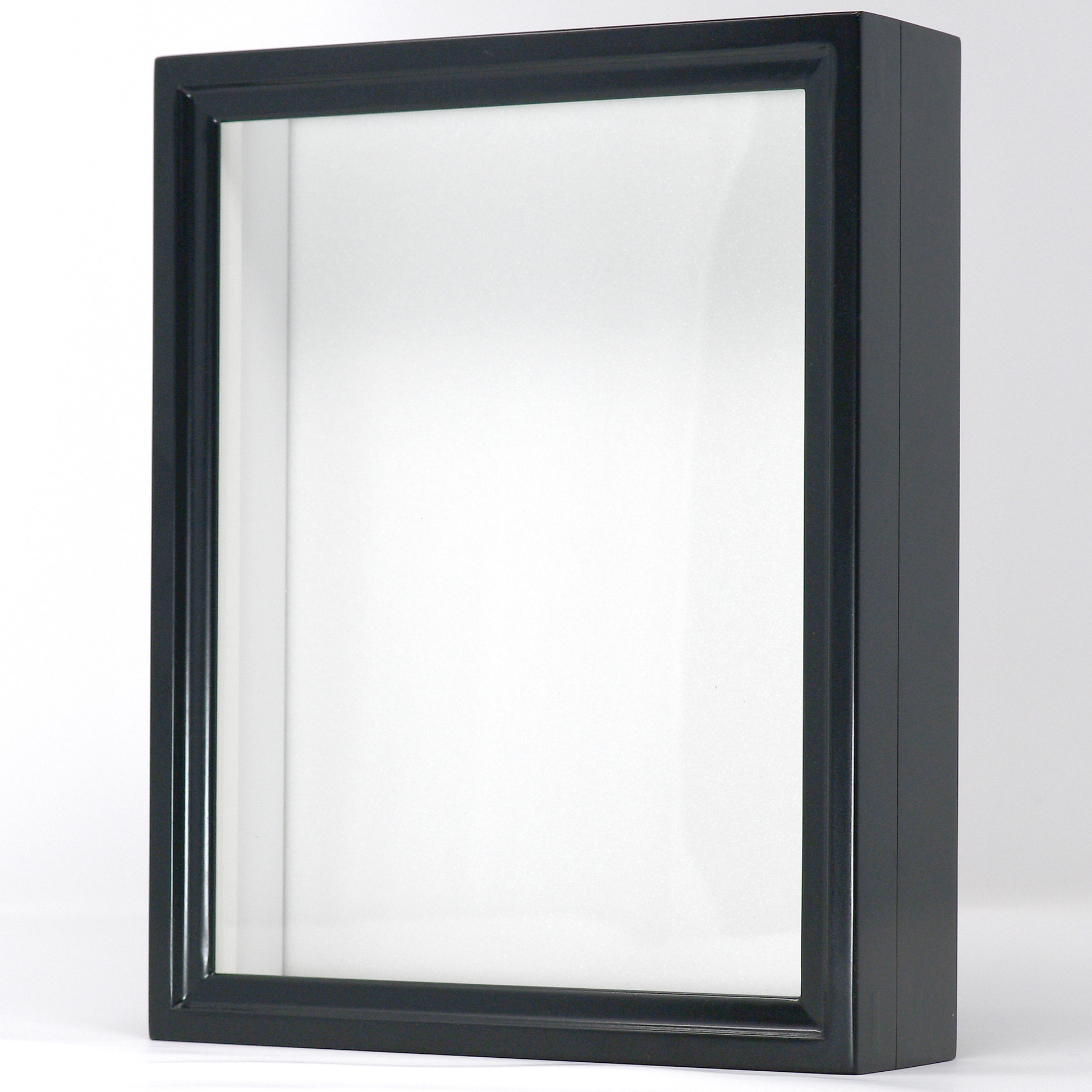 Birdwing Mini Insect Display Box – Handcrafted in Japan, with UV Glass & High-Density Foam (9 ¾" x 7 ⅞" x 2 ¼")