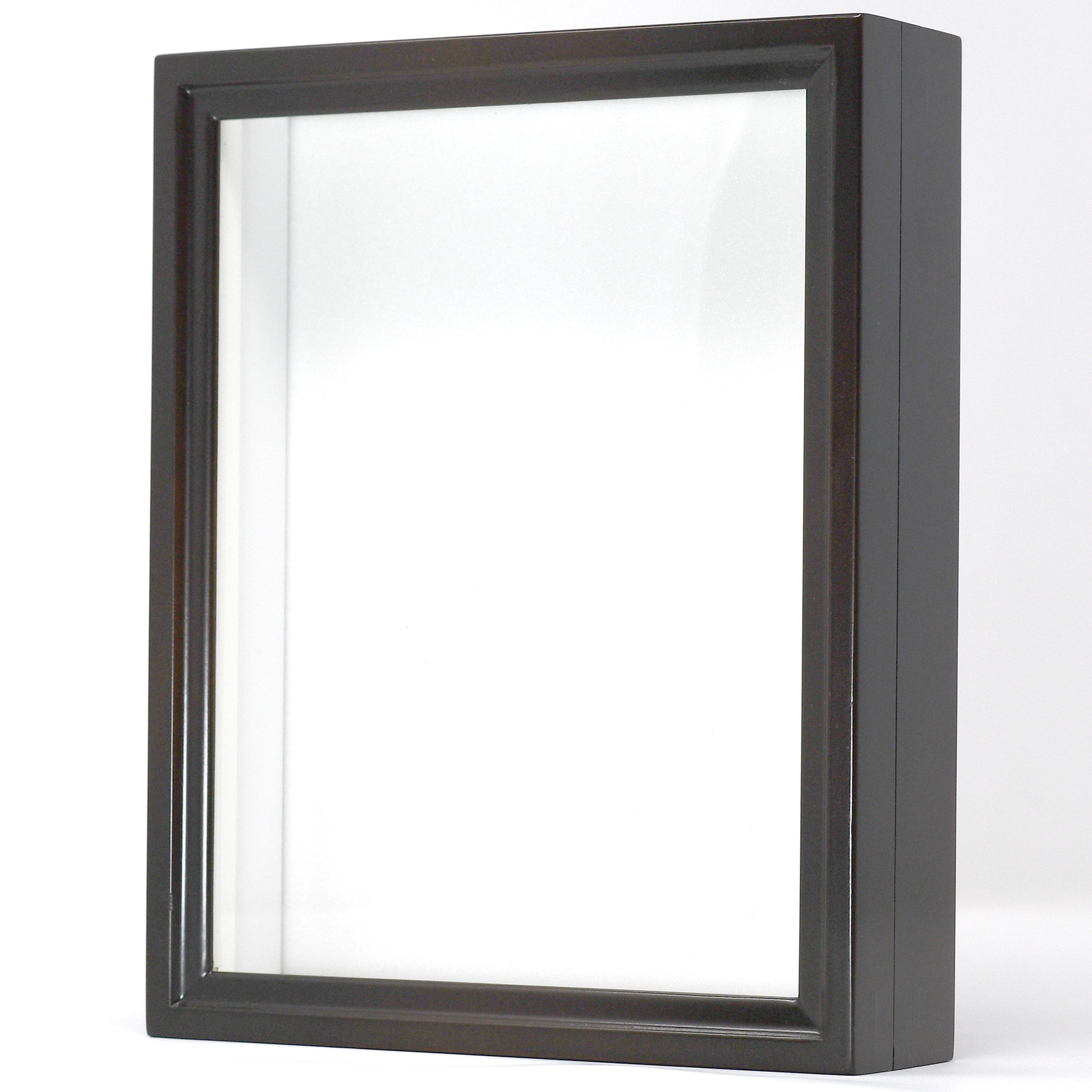 Birdwing Mini Insect Display Box – Handcrafted in Japan, with UV Glass & High-Density Foam (9 ¾" x 7 ⅞" x 2 ¼")