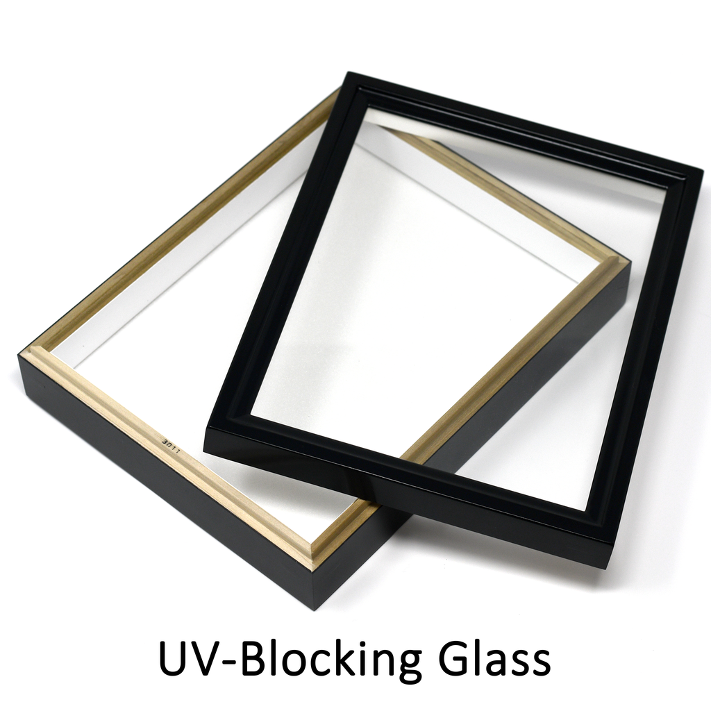 Birdwing Mini Insect Display Box – Handcrafted in Japan, with UV Glass & High-Density Foam (9 ¾" x 7 ⅞" x 2 ¼")