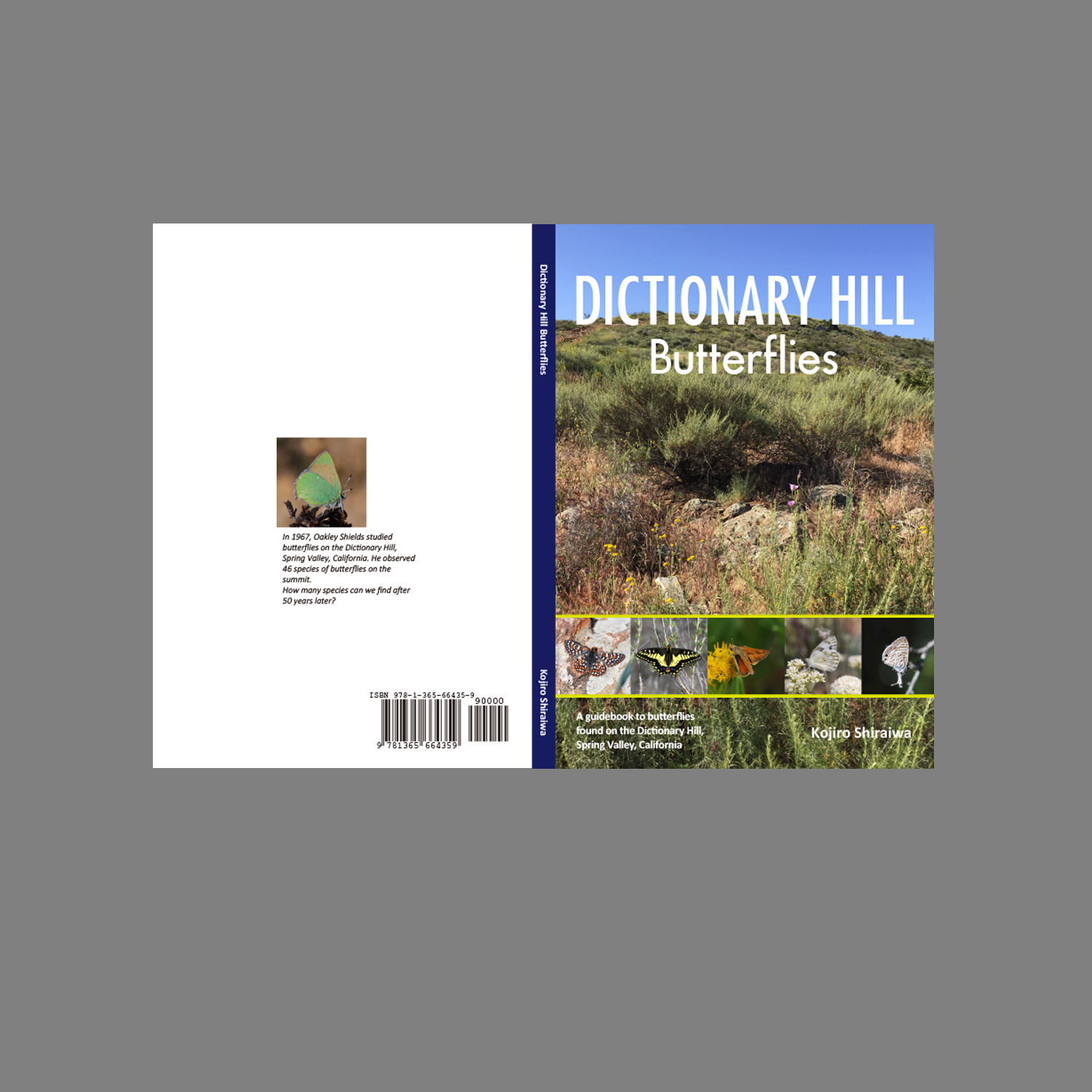 Dictionary Hill Butterflies