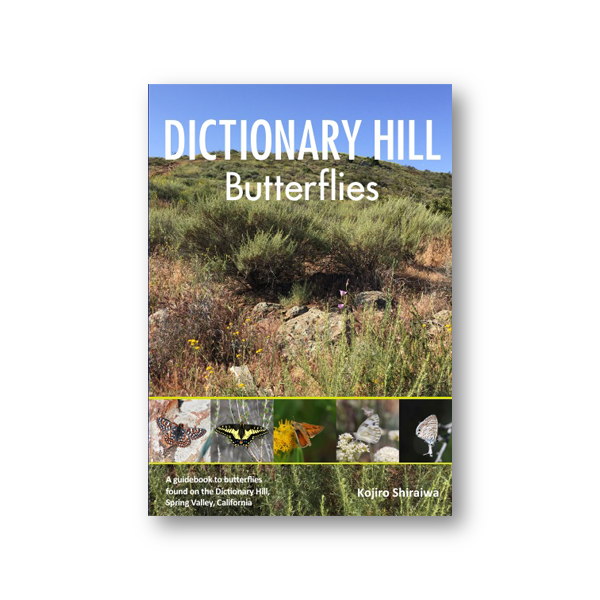 Dictionary Hill Butterflies