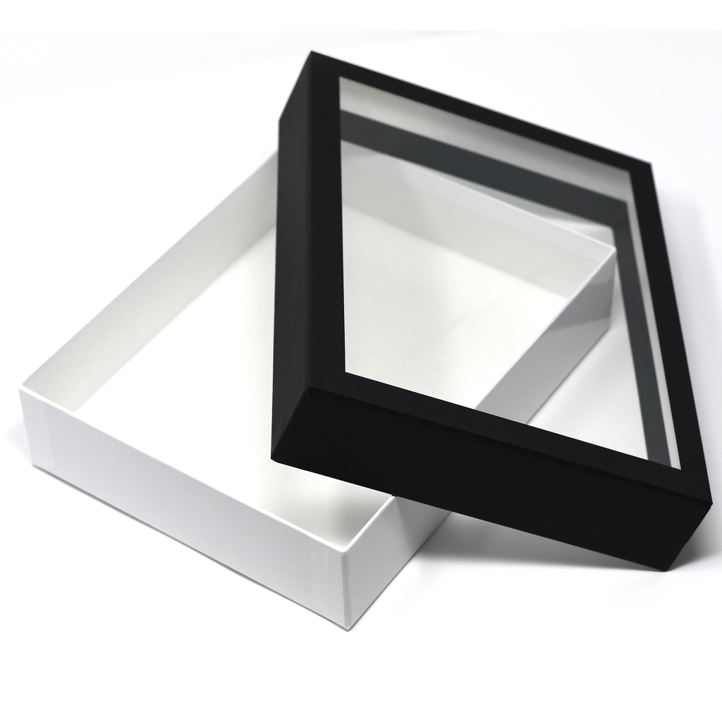 Birdwing Paper Insect Display Box – Lightweight Carrying Case with Acrylic UV-Protection (9 ¾" x 7 ⅞" x 2 ¼")