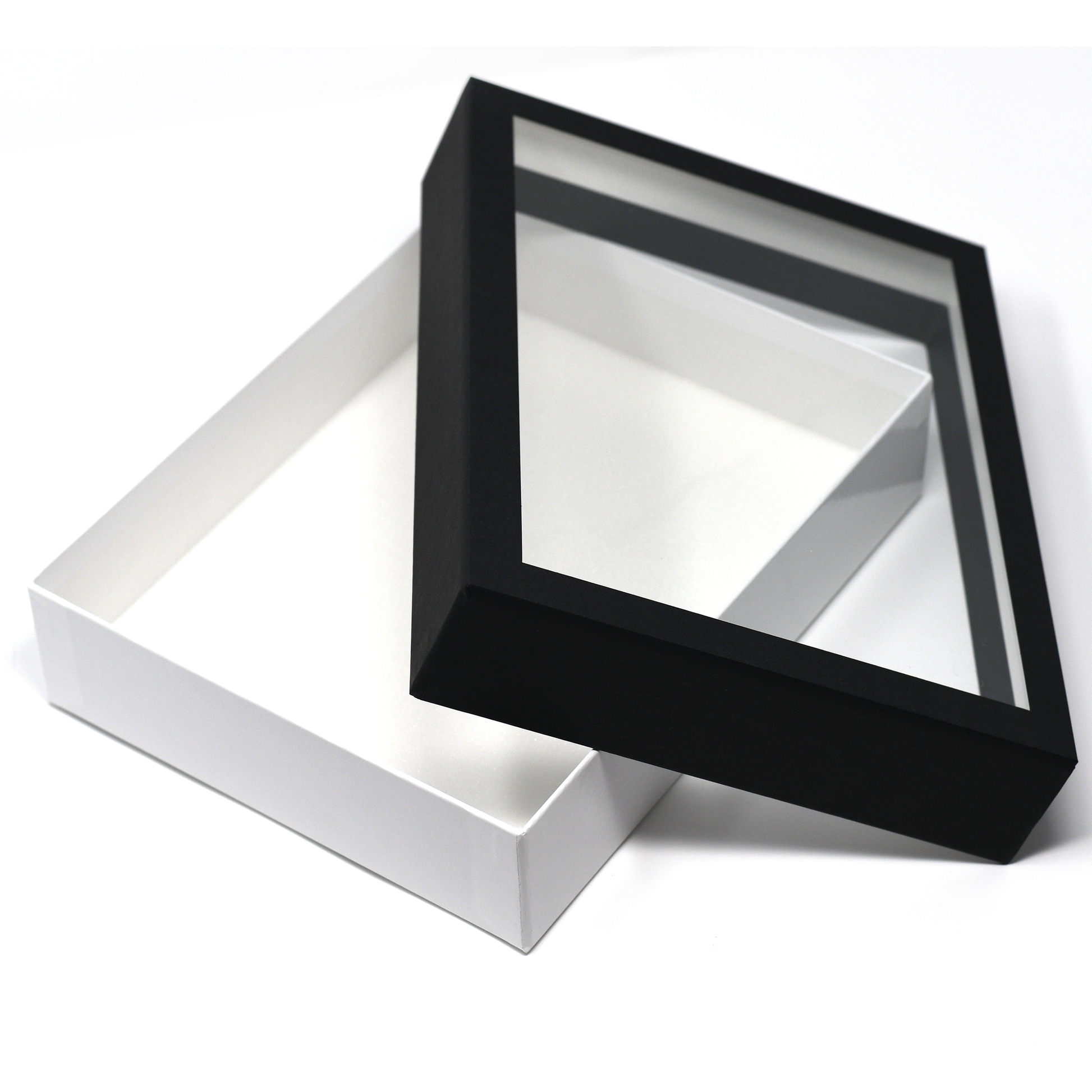 Birdwing Paper Insect Display Box – Lightweight Carrying Case with Acrylic UV-Protection (9 ¾" x 7 ⅞" x 2 ¼")