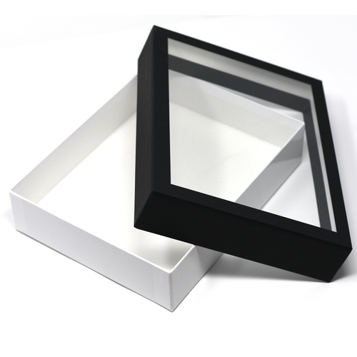 Birdwing Paper Insect Display Box – Lightweight Carrying Case with Acrylic UV-Protection (9 ¾" x 7 ⅞" x 2 ¼")