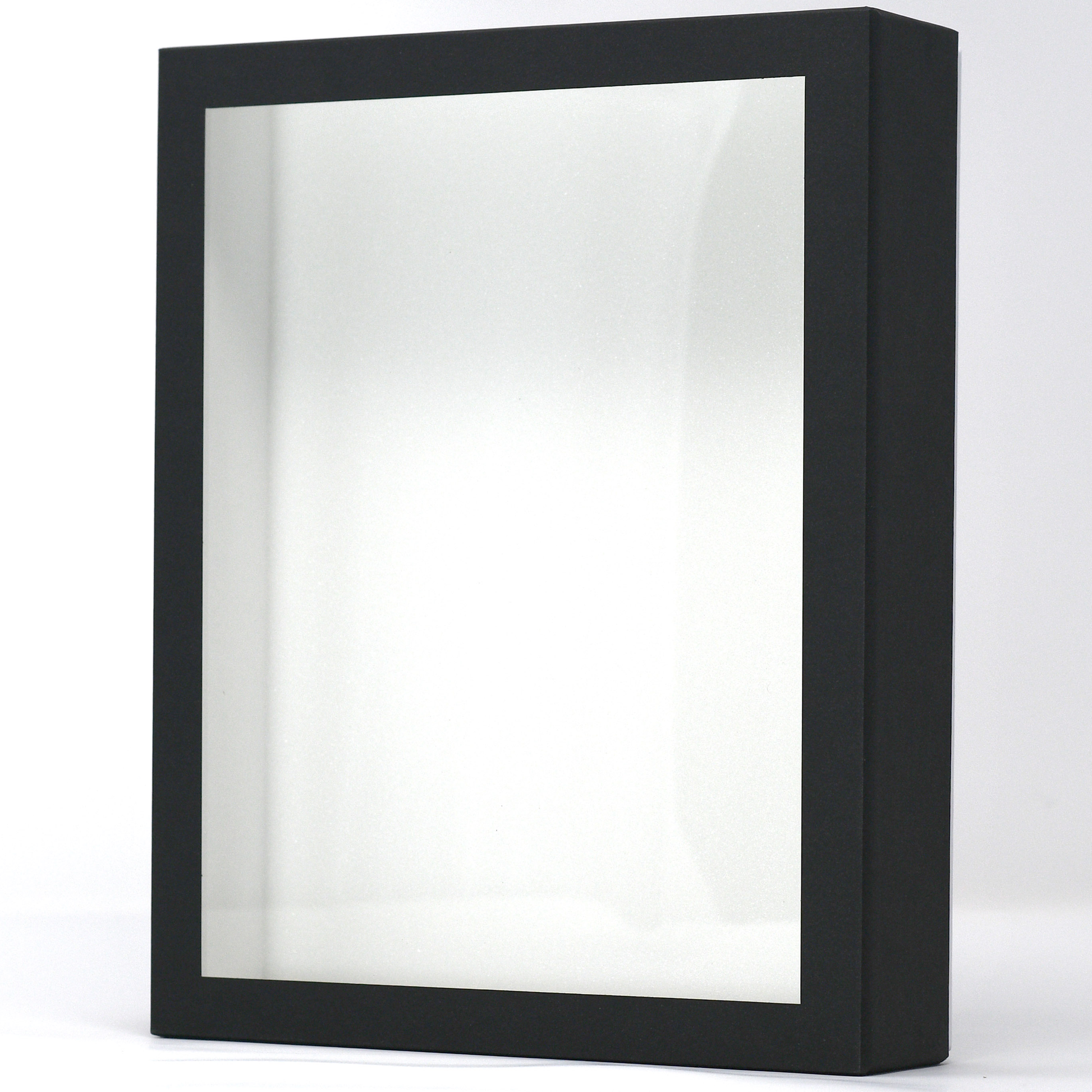 Birdwing Paper Insect Display Box – Lightweight Carrying Case with Acrylic UV-Protection (9 ¾" x 7 ⅞" x 2 ¼")