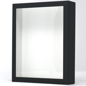 Birdwing Paper Insect Display Box – Lightweight Carrying Case with Acrylic UV-Protection (9 ¾" x 7 ⅞" x 2 ¼")
