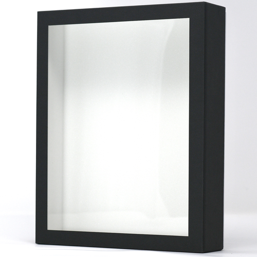 Birdwing Paper Insect Display Box – Lightweight Carrying Case with Acrylic UV-Protection (9 ¾" x 7 ⅞" x 2 ¼")