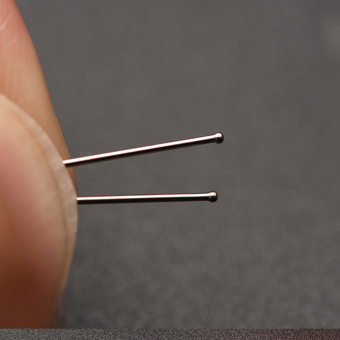The Shiga Insect Pins No.1 – Pteron Shop | Entomological Supplies & Books
